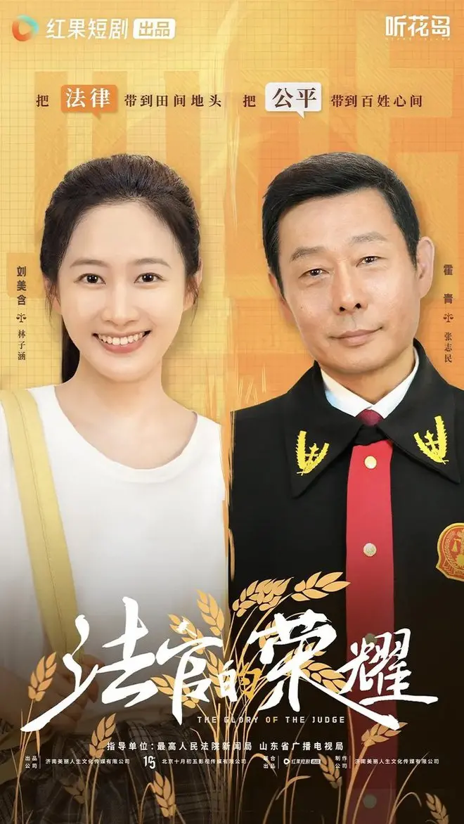 《法官的荣耀》：当法律遭遇伦理，一场关于正义与救赎的深刻拷问！