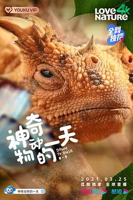 《神奇动物的一天 第一季》：探索自然奥秘，与萌宠零距离互动！