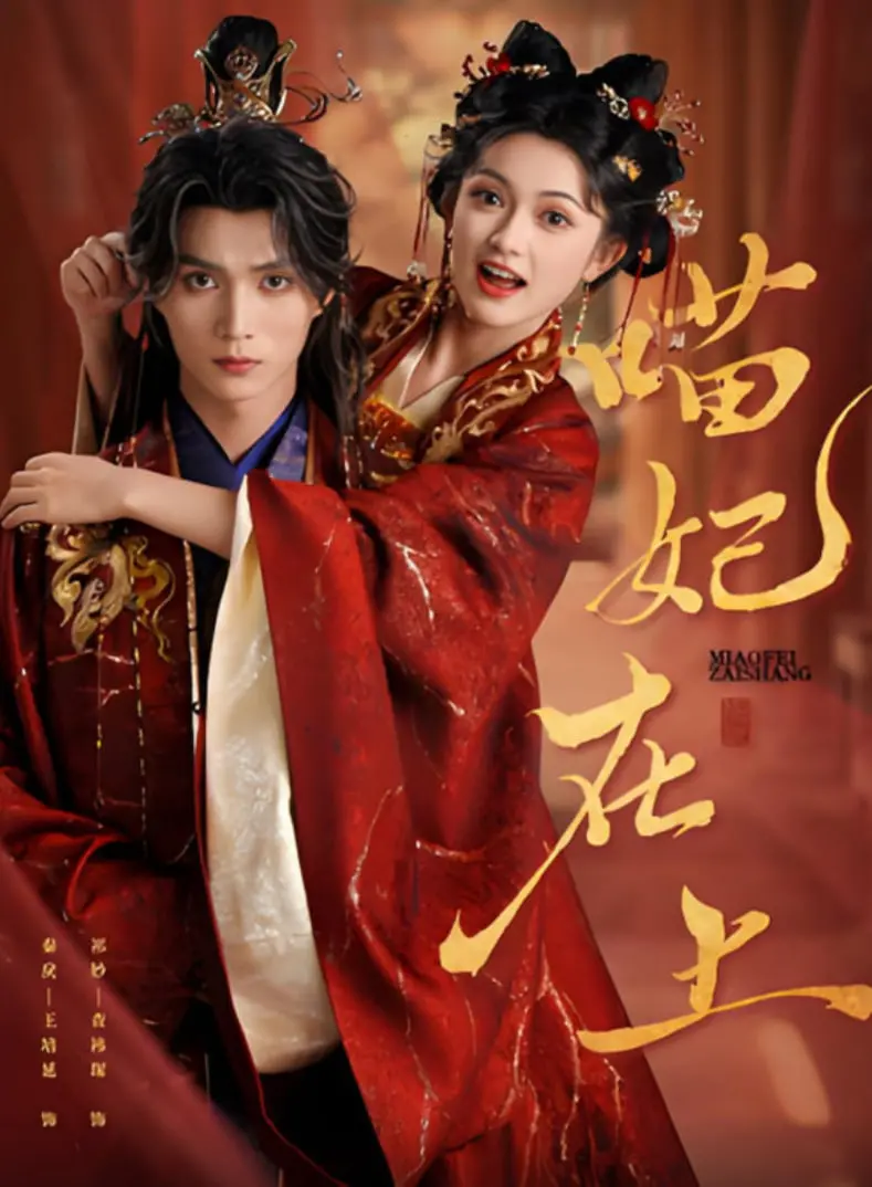 《喵妃在上》：萌宠奇缘还是权力游戏？看猫咪如何搅动宫廷风云！