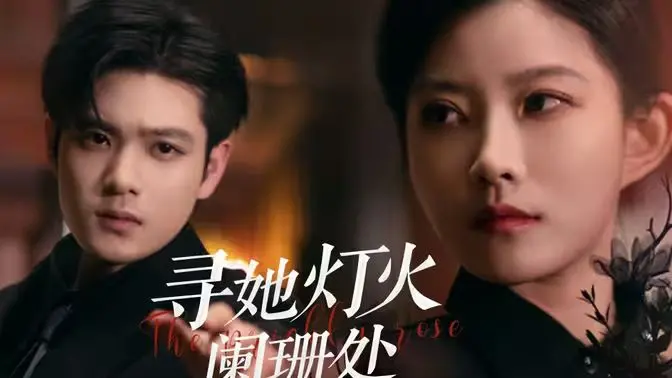 《寻她灯火阑珊处》：一场关于失踪、谜团与执着的追寻，揭开尘封的真相与救赎