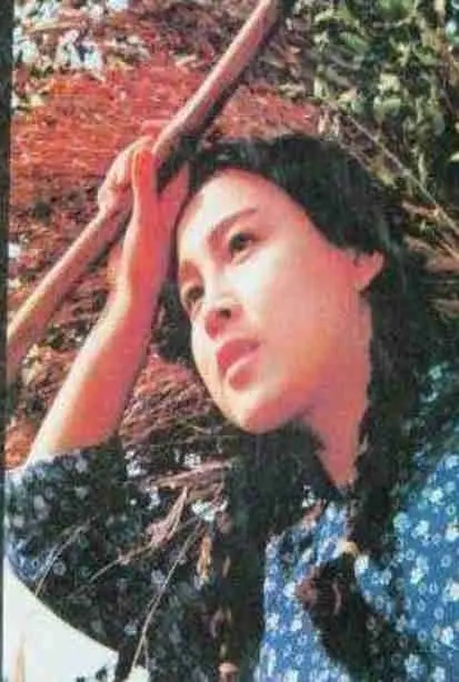 《部落性冲突》：一场跨越文明的性爱与权谋交织的史诗，NBA魔术与地狱厨房的隐喻解析