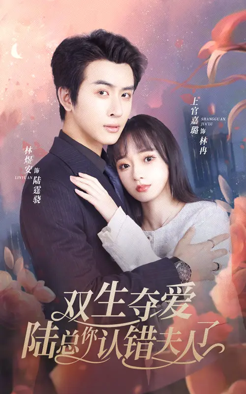 《双生夺爱陆总你认错夫人》：总裁的替身娇妻，爱恨纠葛中的真情抉择